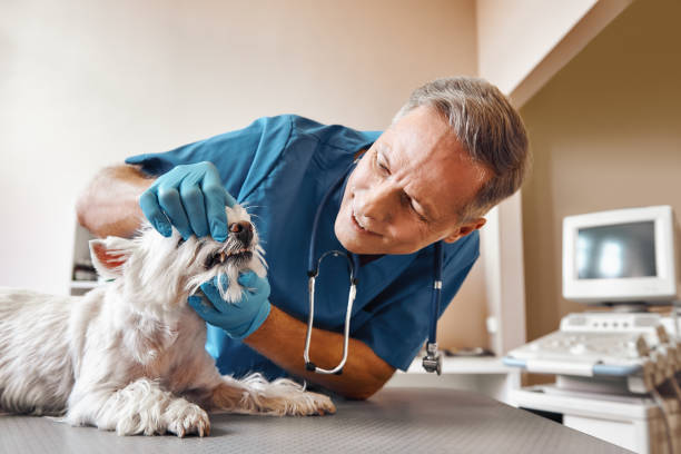 Best Emergency Tooth Extraction in Oakhurst, OK